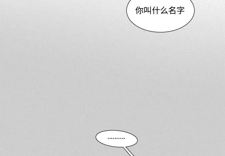 31 第2页