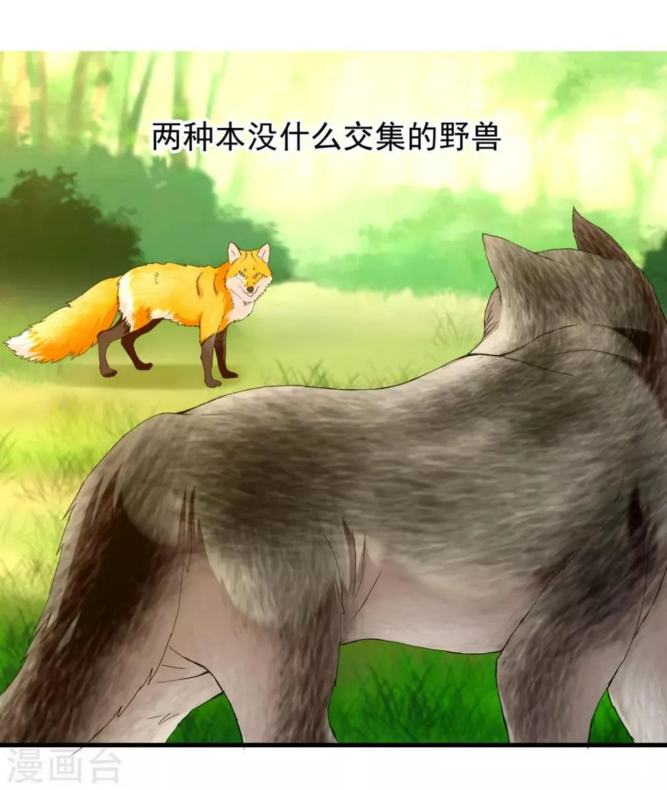 第210话 狐狸和狼的时间 第33页