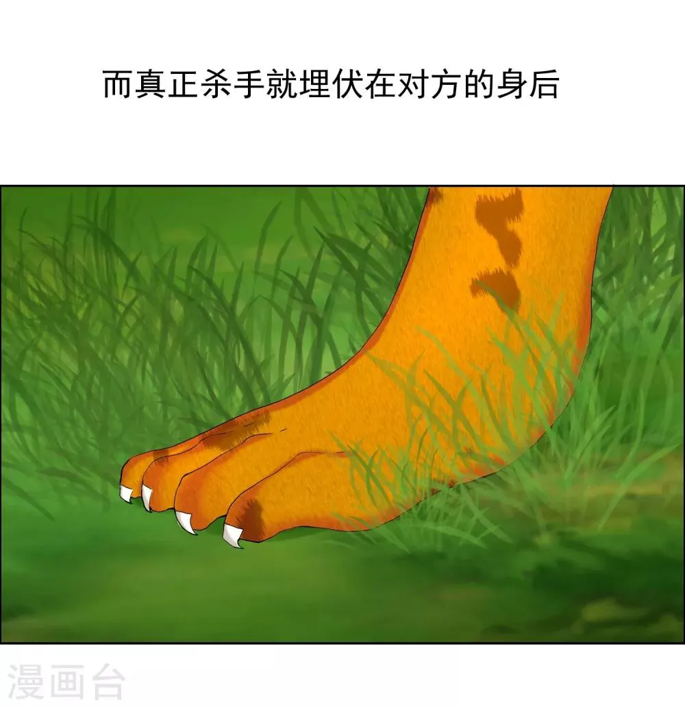 第97话 出线权 第14页