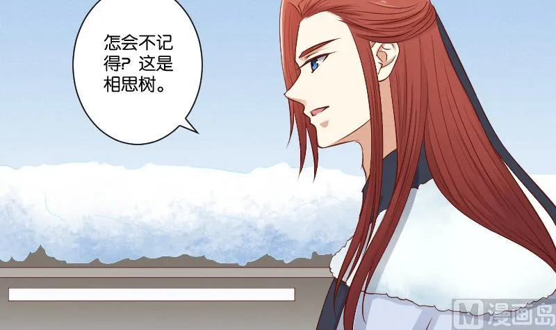 第296话 圣诞小剧场—冬青 3 第34页