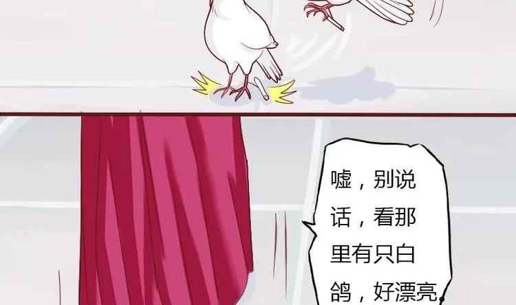 第009话 断袖情与少女心 2 第7页