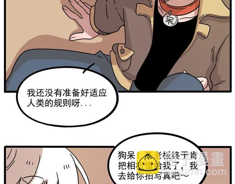 第71话 第17页