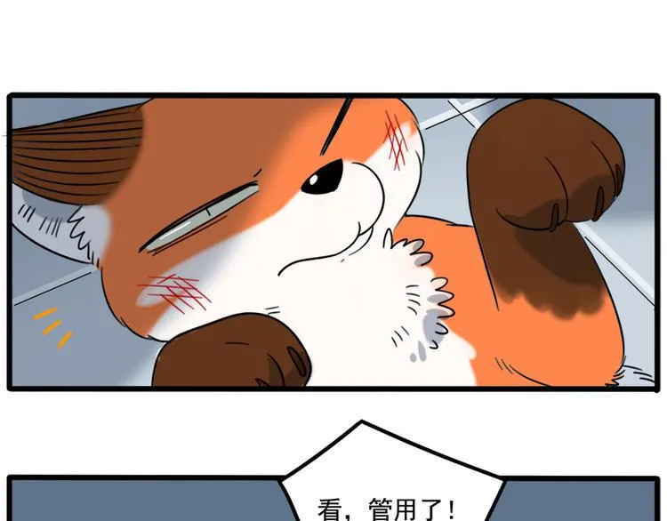 第102话 第18页