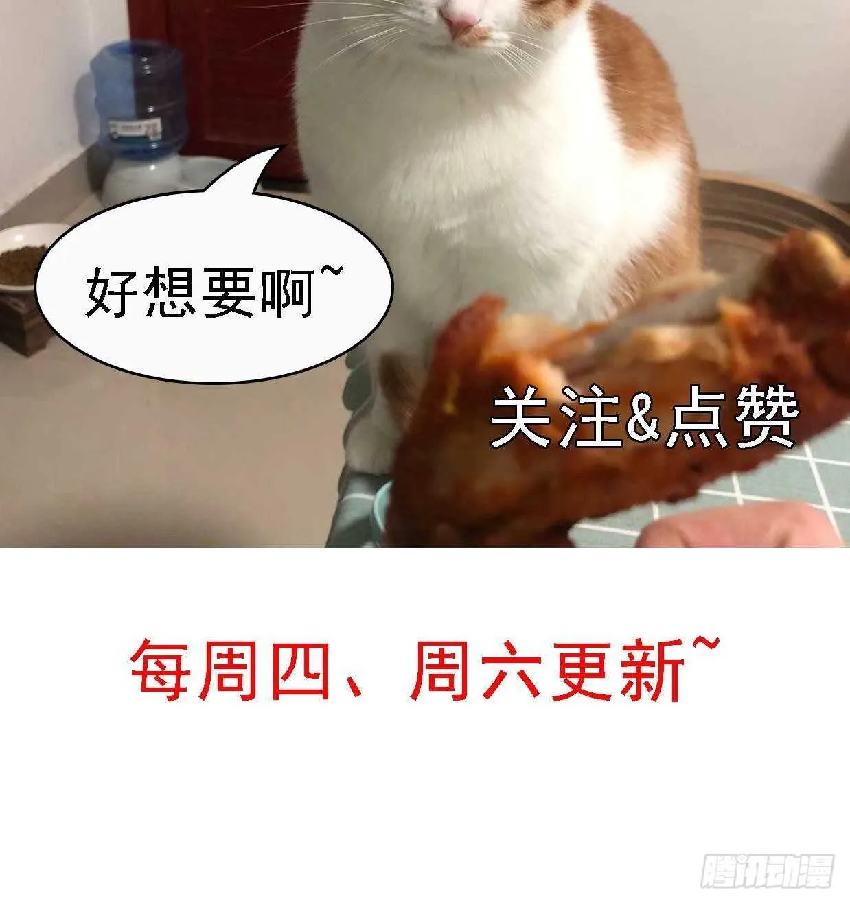 第41话 药也有副作用 第75页