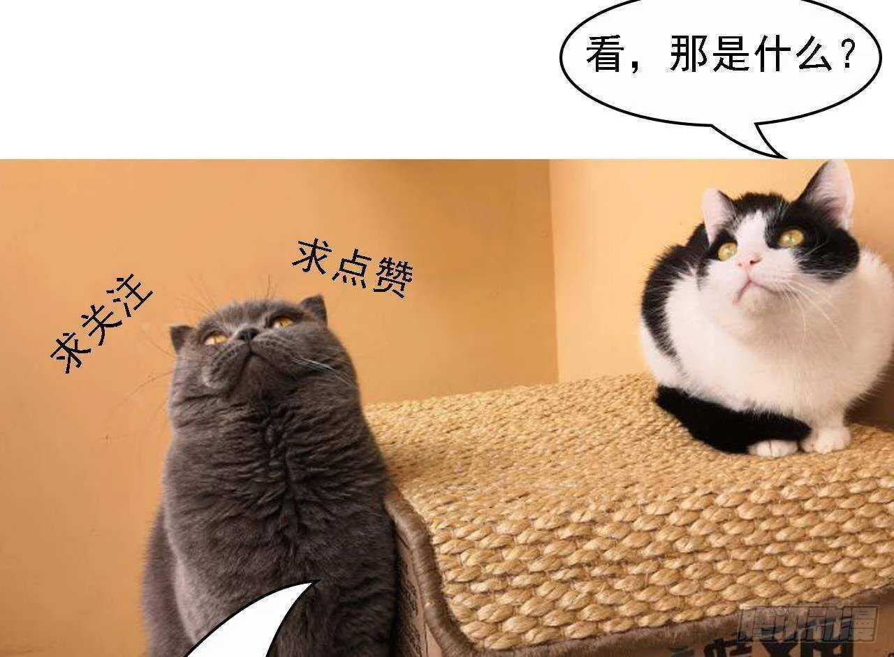 第34话 修罗场！ 第71页