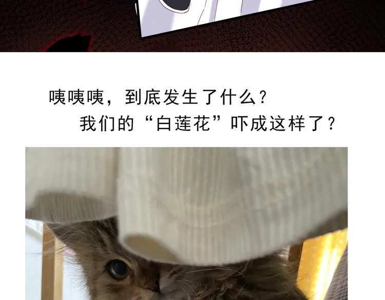 第2话 整点阳间的东西吧？ 第91页