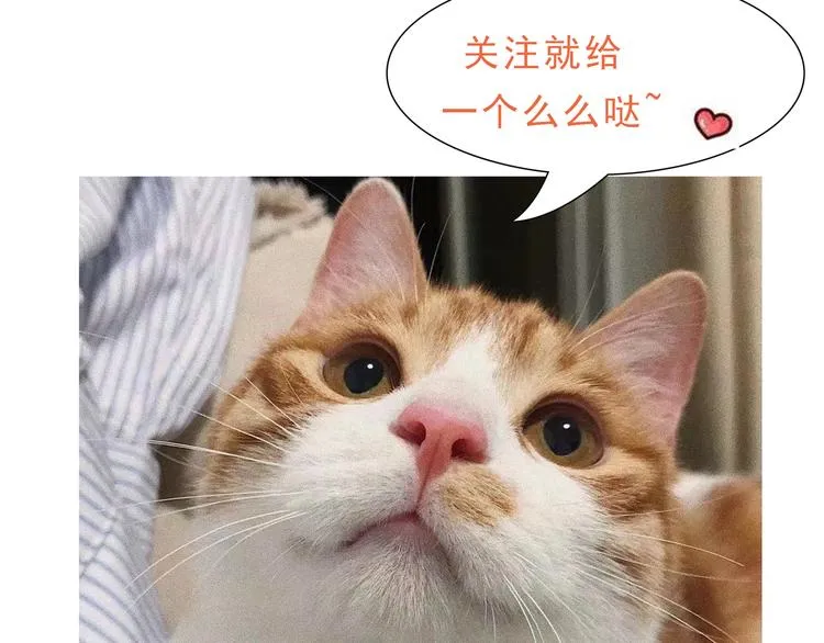 第3话 网红鲜肉营业中！ 第13页