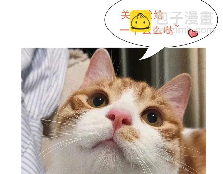 第3话 网红鲜肉营业中！ 第99页