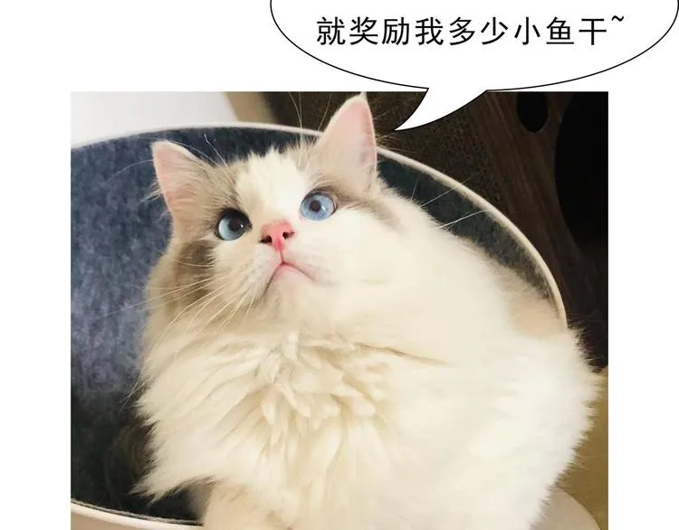 第4话 基情的开始？ 第75页