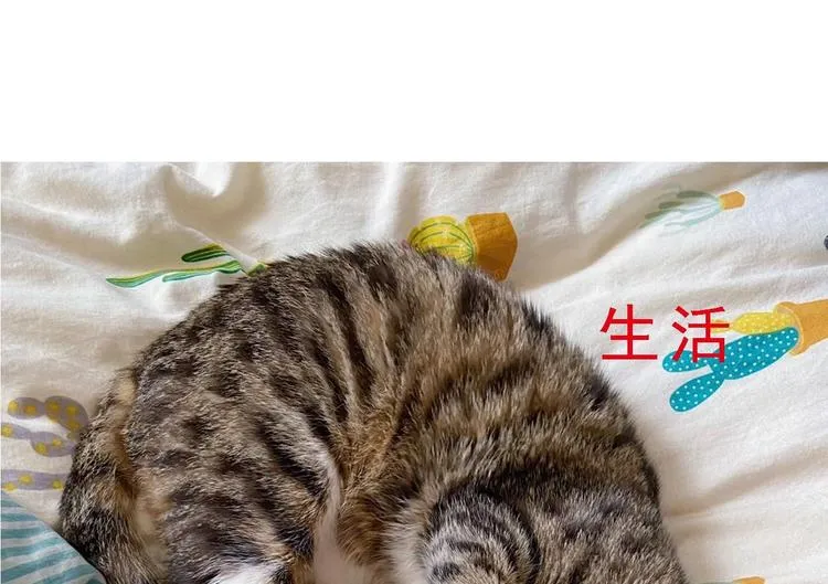 第12话 好爸爸墨冷擎！ 第100页