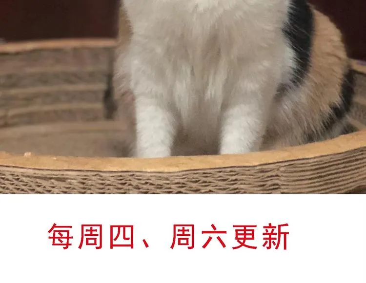 第13话 在自己的坟头蹦迪！ 第99页
