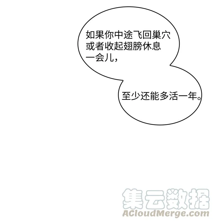 25 混沌的勇士 第37页