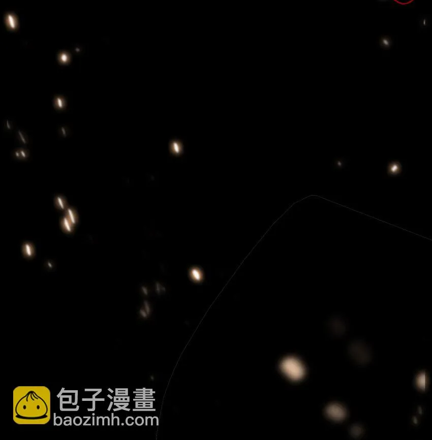 110雪王 第35页