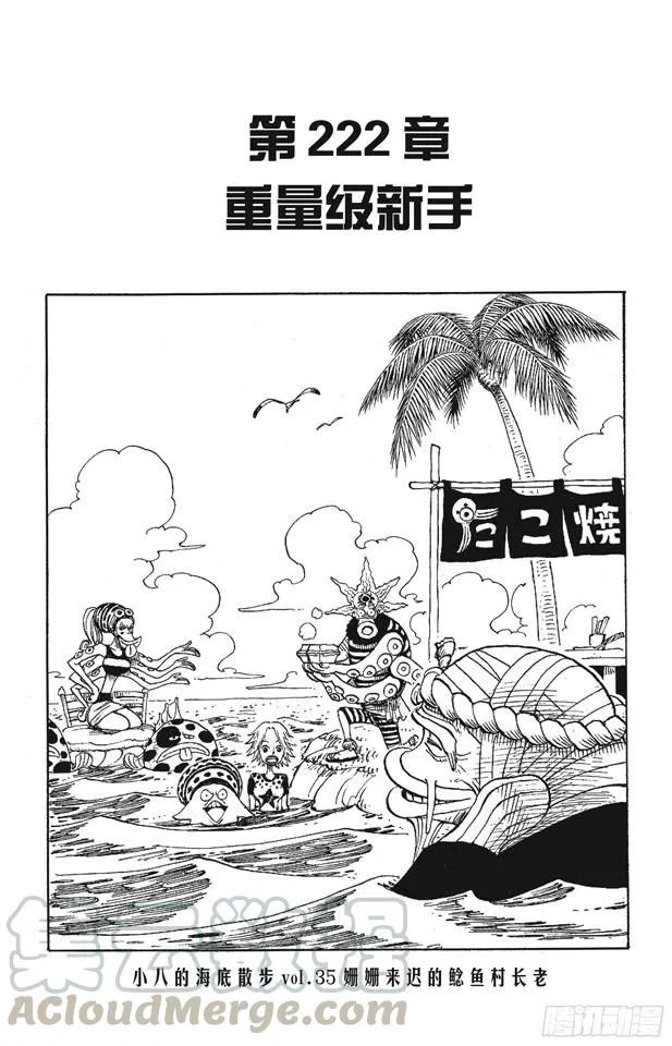 第222话 重量级新手 第1页