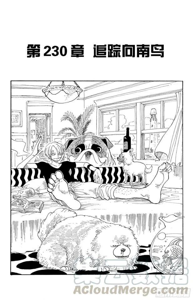 第230话 追踪向南鸟 第1页