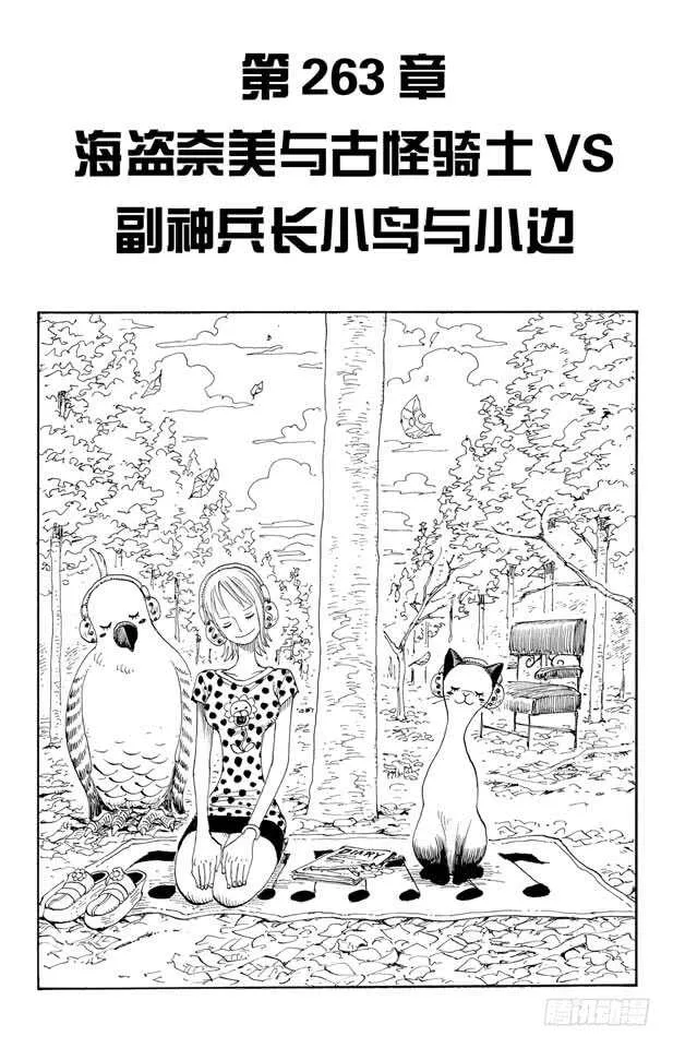 第263话 海盗奈美与古怪骑士 第1页