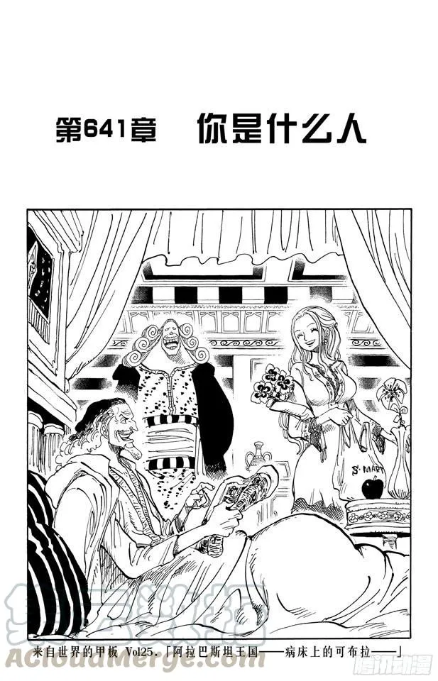 第641话 你是什么人 第1页