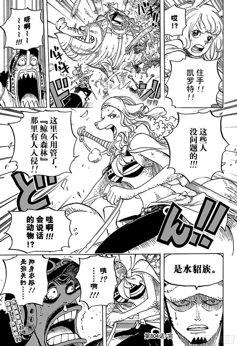 第804话 象背之国的冒险 第17页