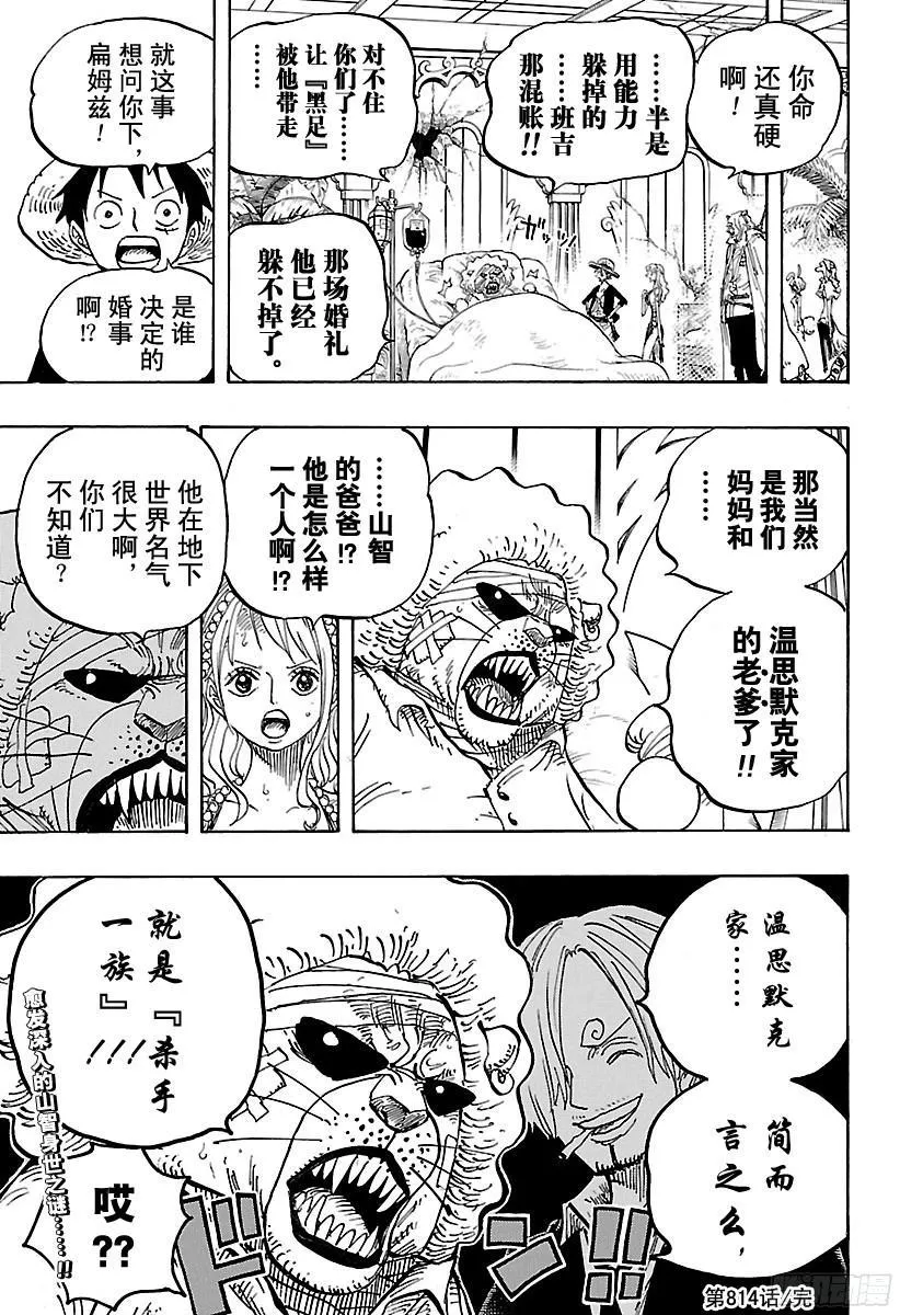 第814话 见猫蝮蛇老大去 第17页