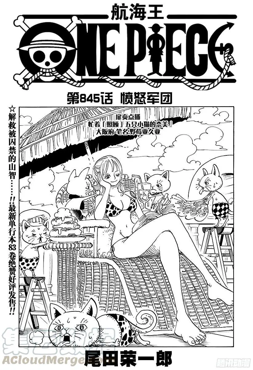 第845话 愤怒军团 第1页
