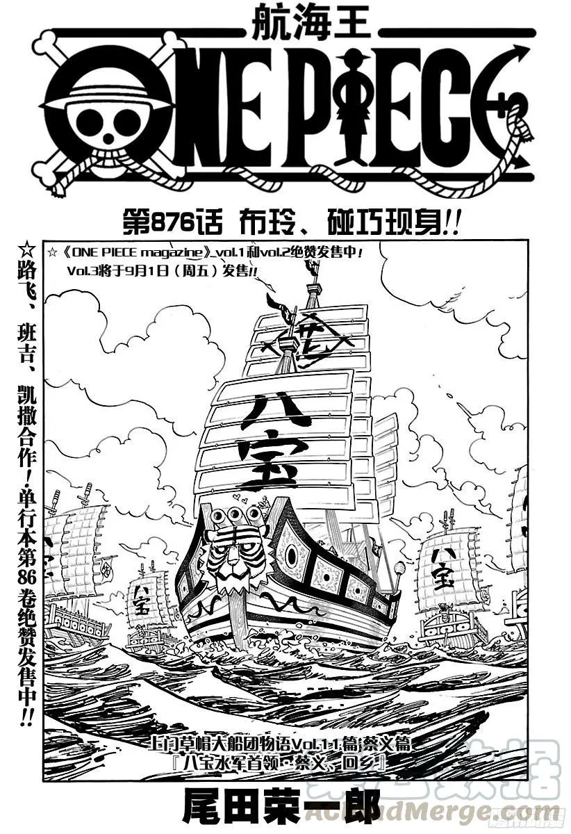第876话 布玲、碰巧现身！！ 第1页