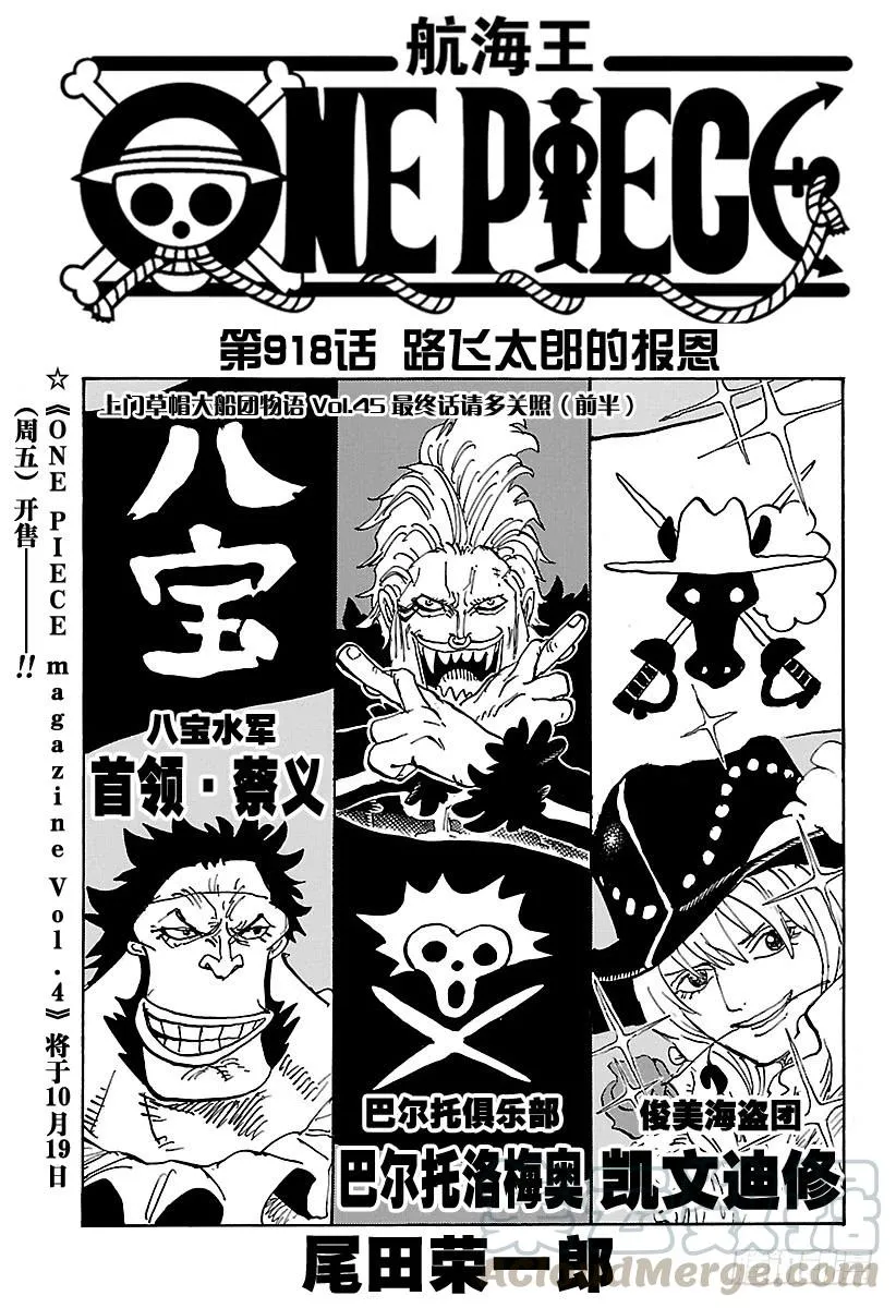 第918话 路飞太郎的报恩 第1页