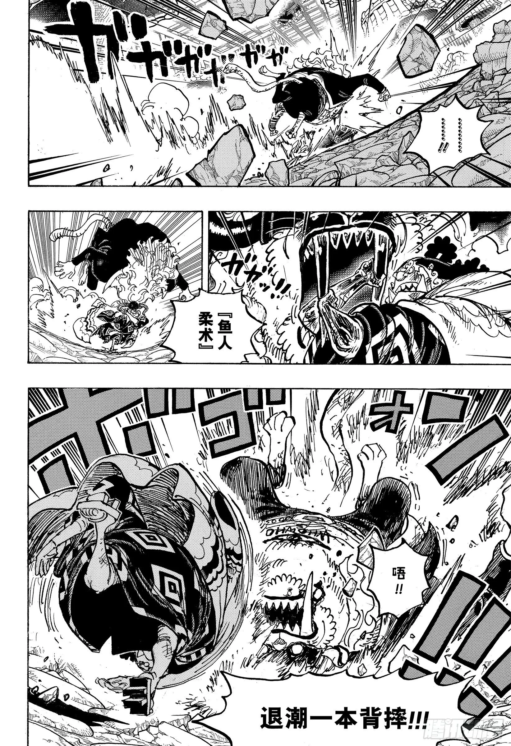 第1018话 甚平VS福兹·弗 第10页