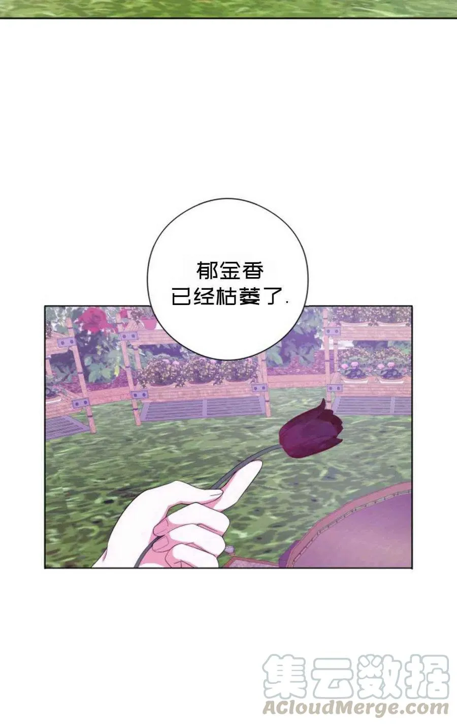 第26话 第34页