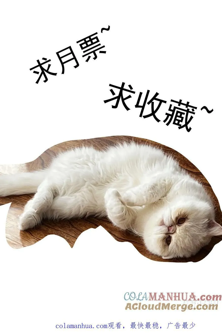 111借壳还魂 第15页
