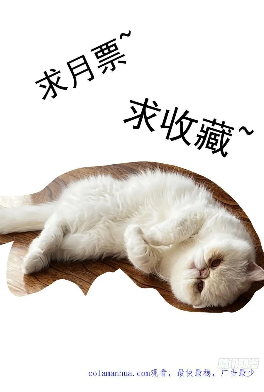 108骑士团驻地 第16页