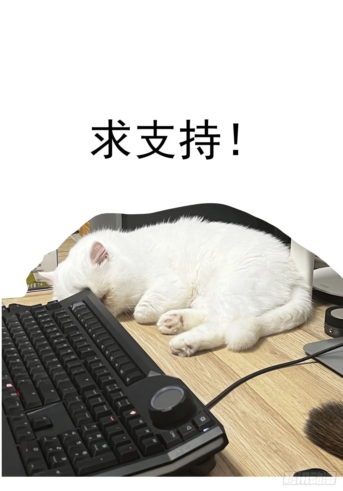 064绝对防御 第15页