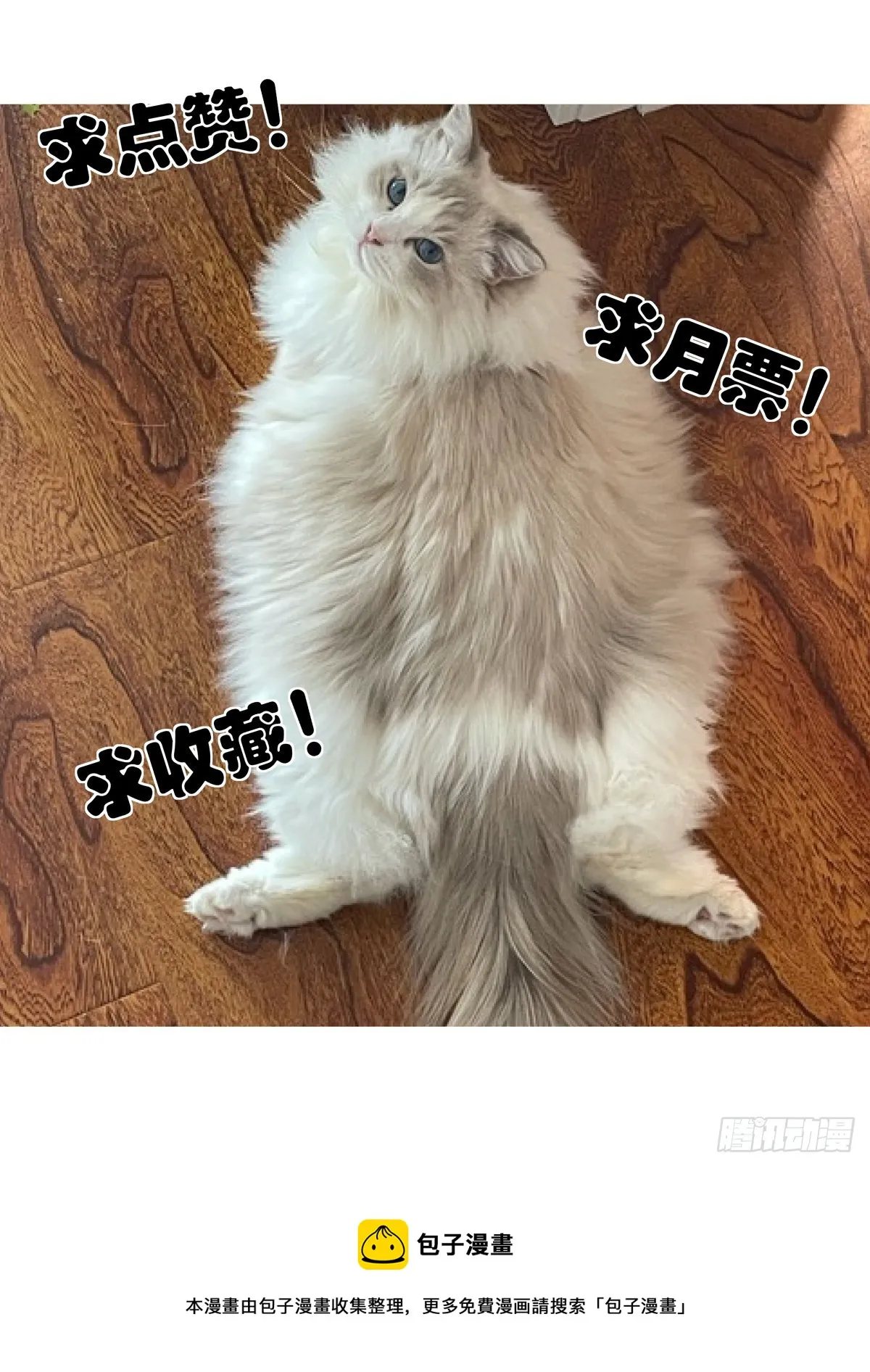 058小毒虫 第16页