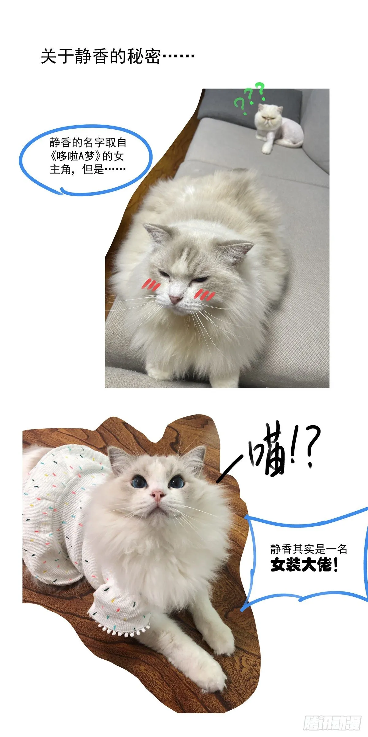 009一败已百年 第24页