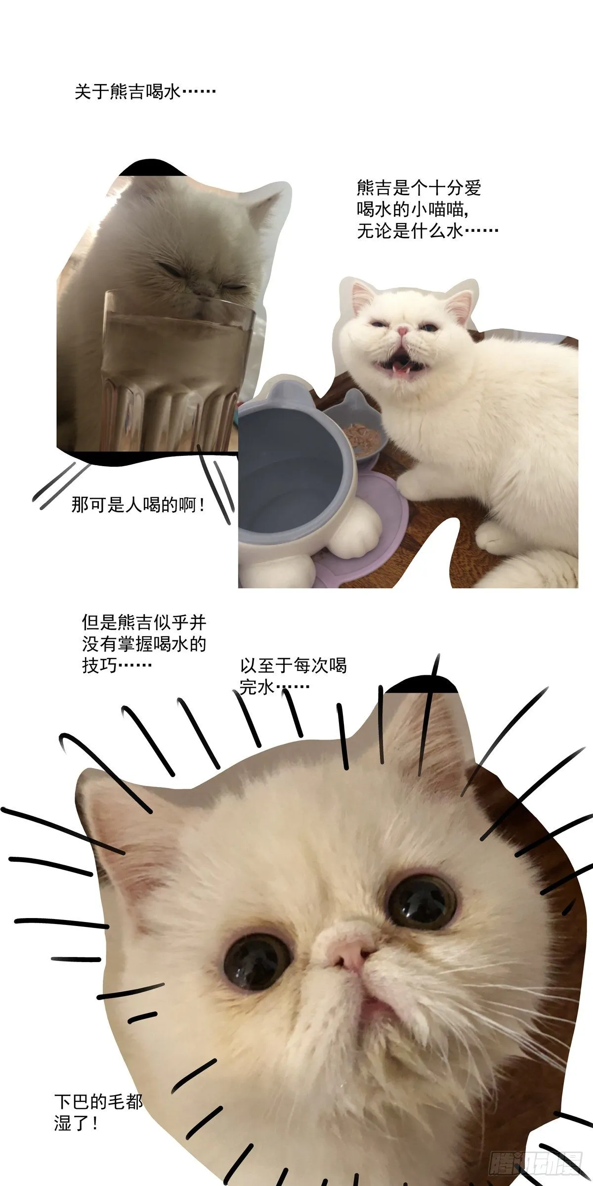 017侠义长存 第20页