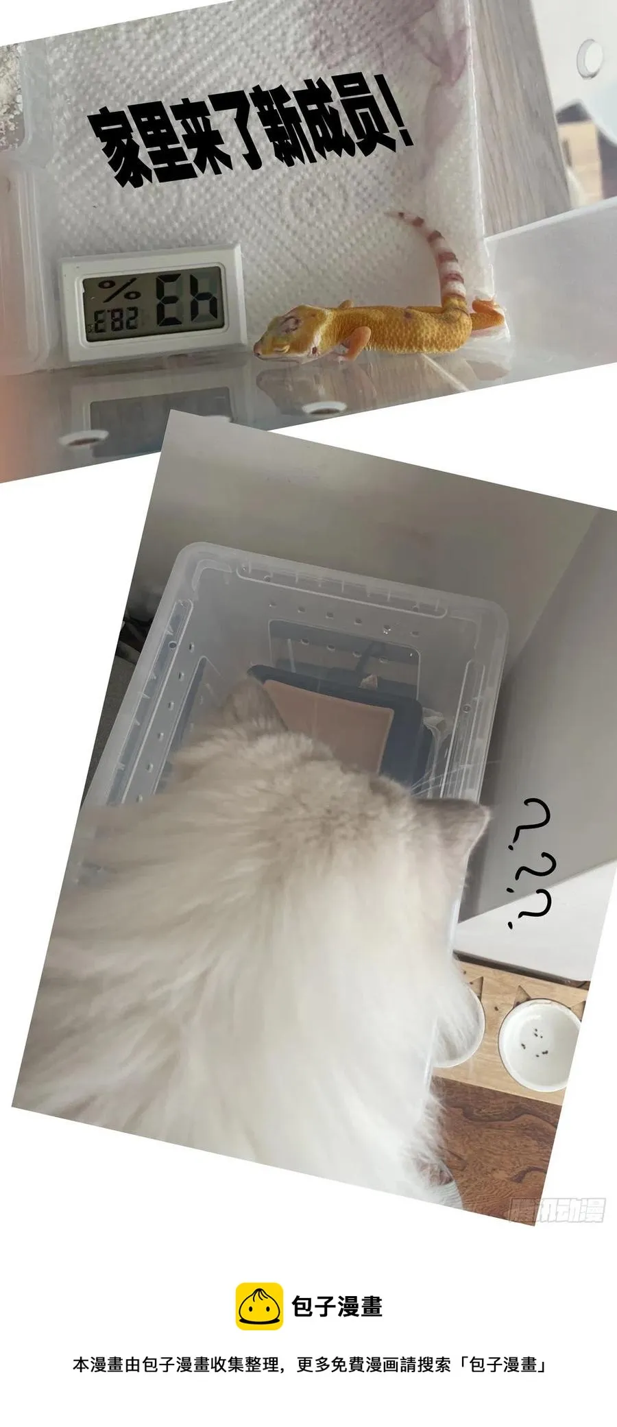 036癔症，图灵 第20页