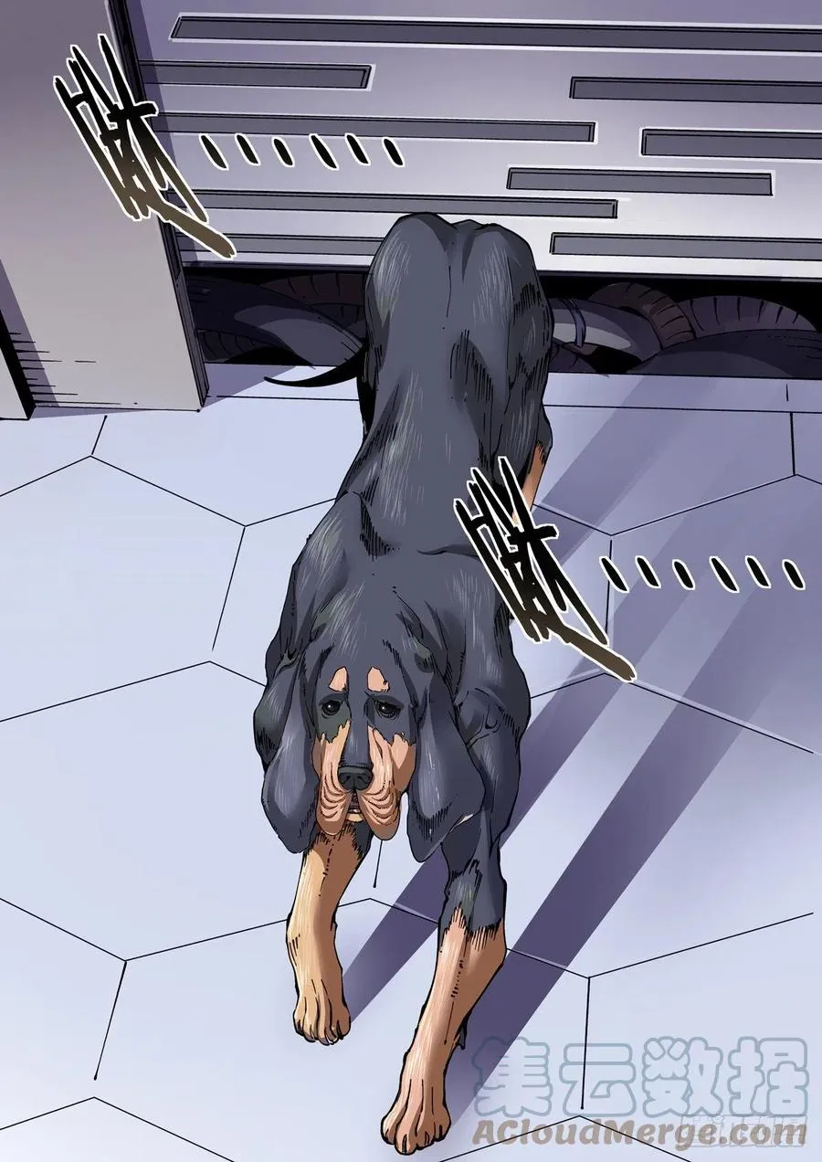 039榜单、江湖规矩与狂猎犬 第15页