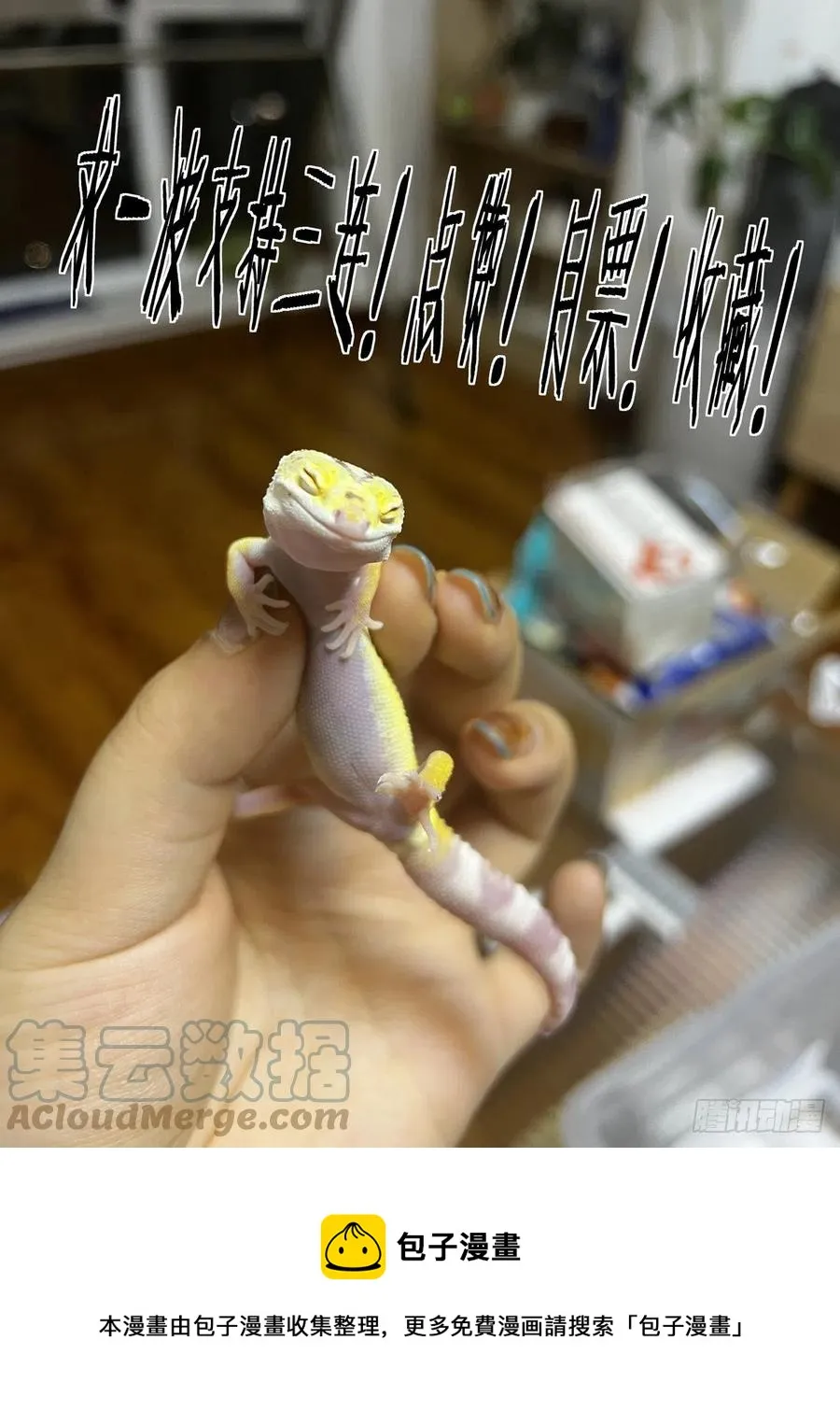 039榜单、江湖规矩与狂猎犬 第19页