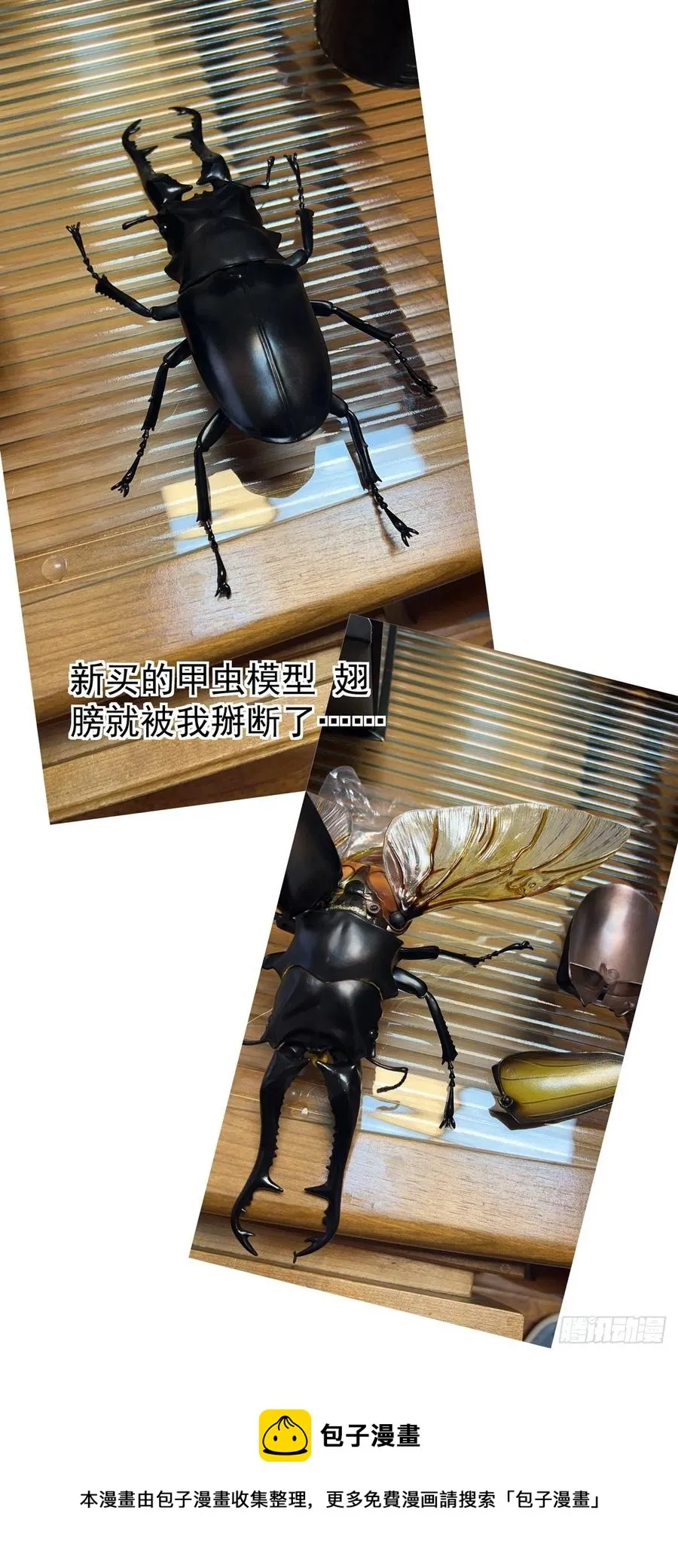 042枪炮高手 第20页