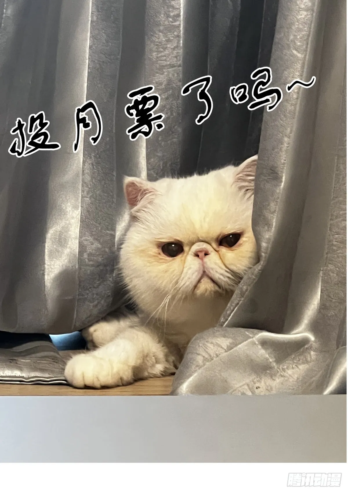 074追兵将至 第17页