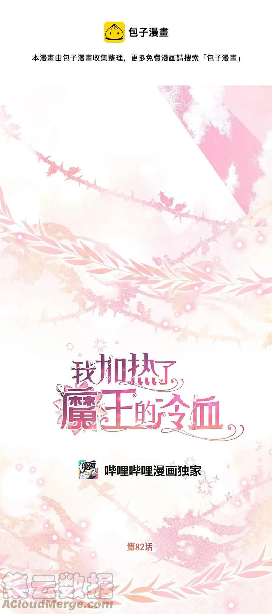 82 婚礼前的准备 第13页