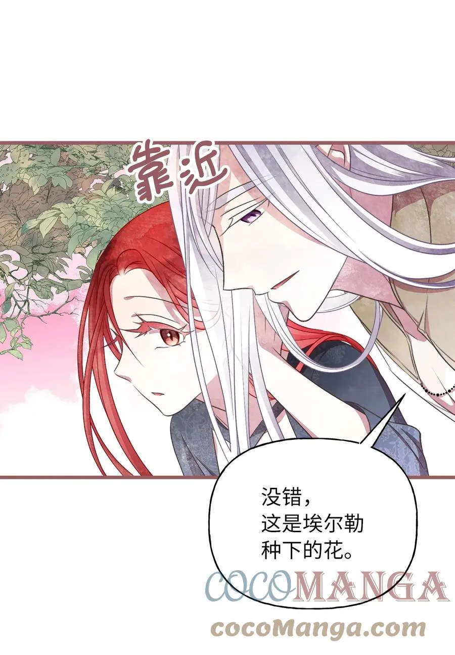 72 想举办婚礼得先过了我这关 第37页