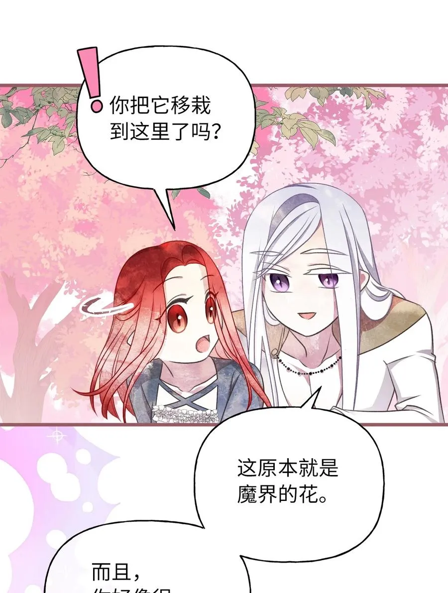 72 想举办婚礼得先过了我这关 第38页