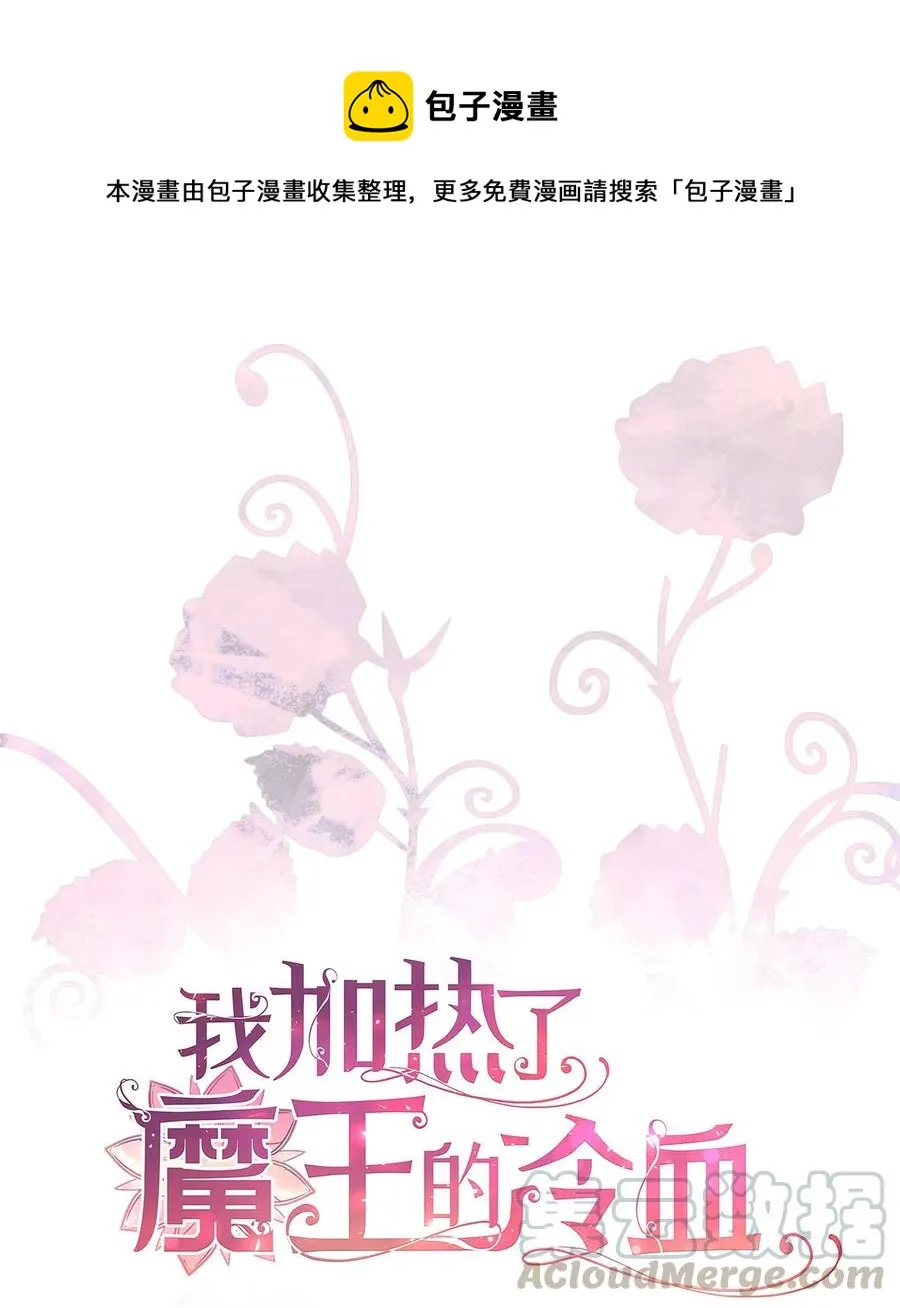 15 要魔法师心脏的那个人 第1页