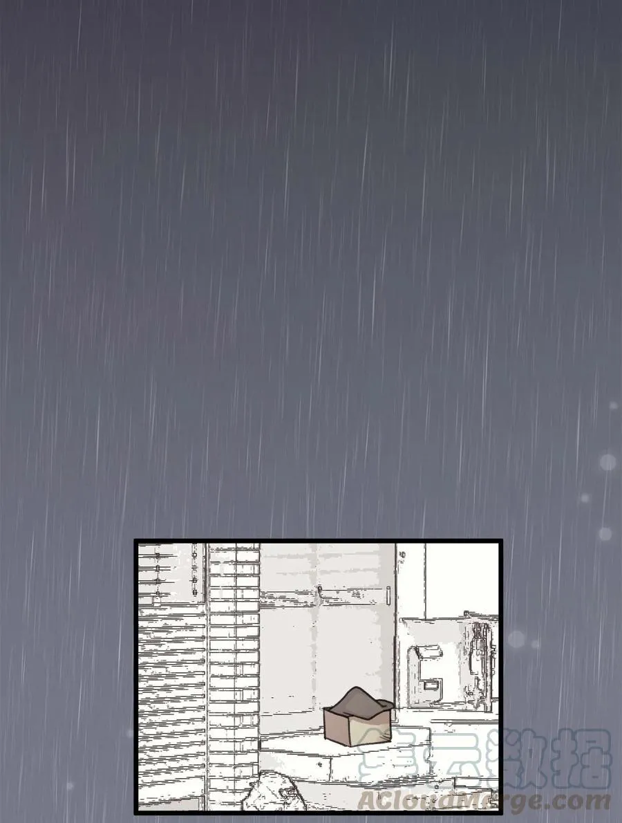 16 他这是在求夸奖？ 第4页