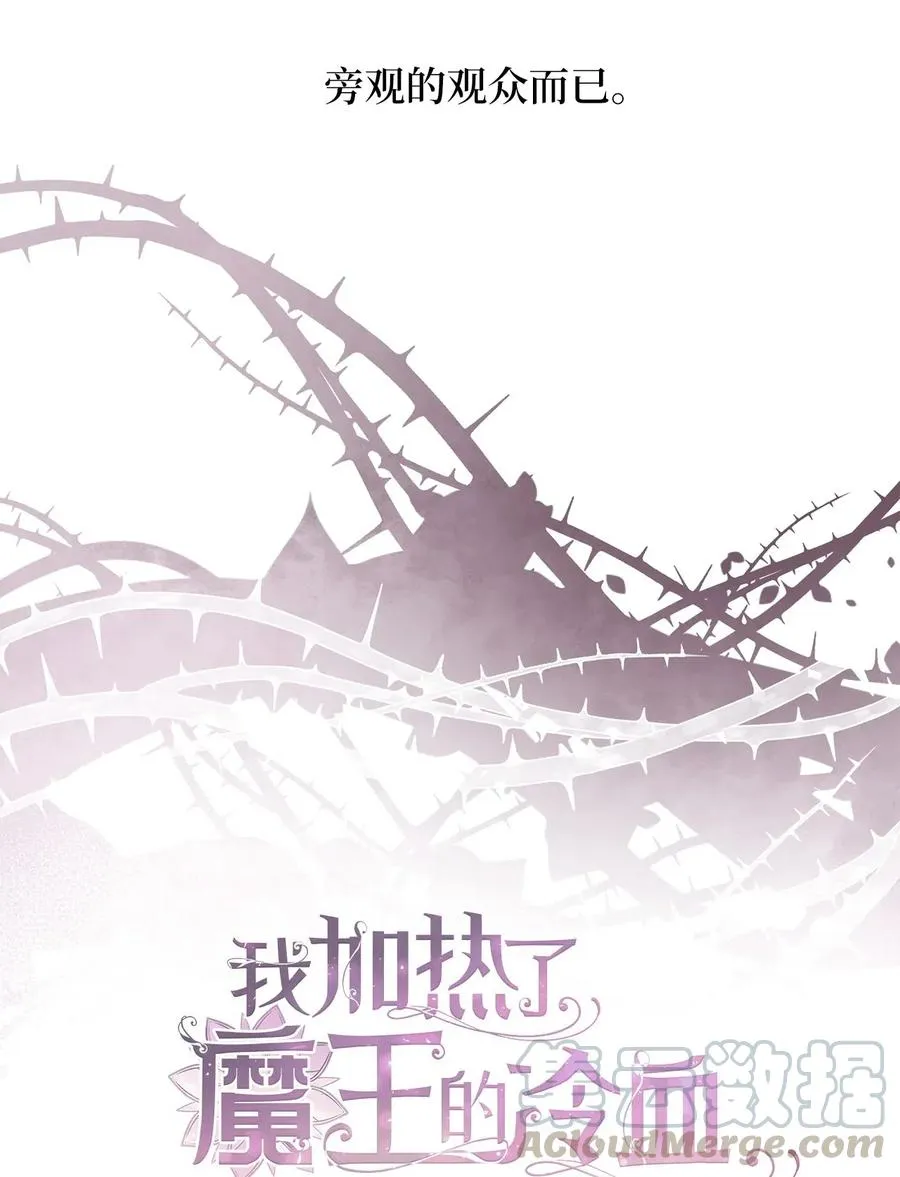 29 旁观的观众 第13页
