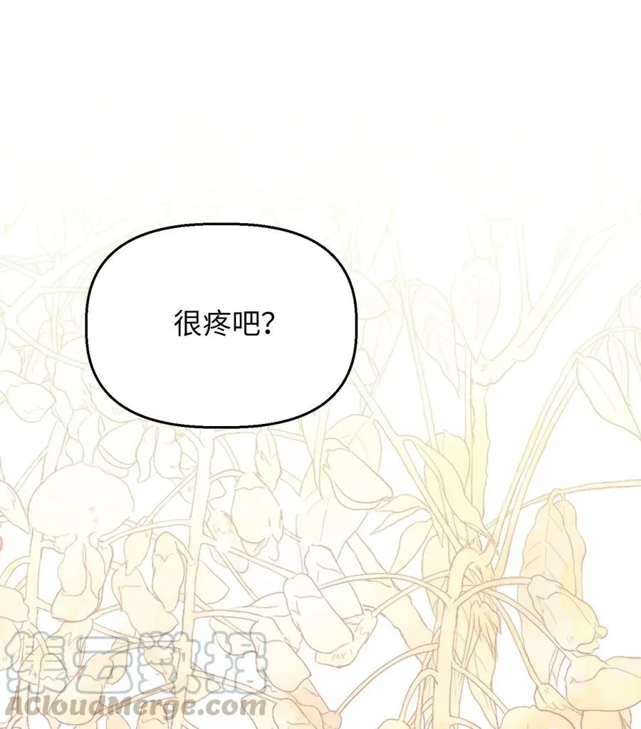 62 普伦西亚迎战天界的挑衅 第40页