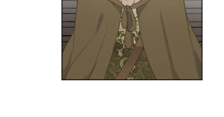 第45话 窥见诺尔 第32页