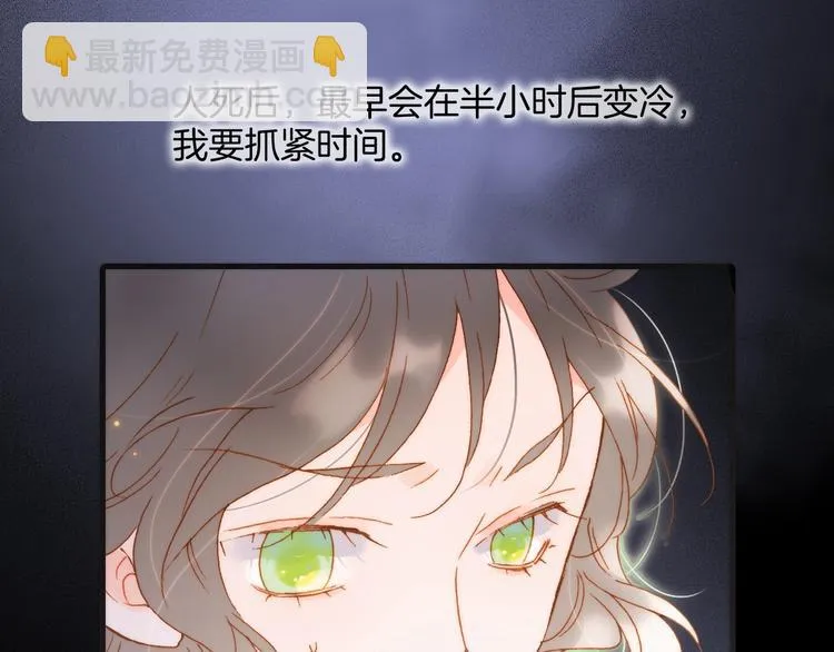 第42话 融合 第84页