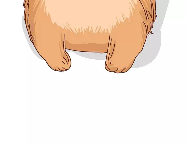 第375话 犬系老公大分类 第41页