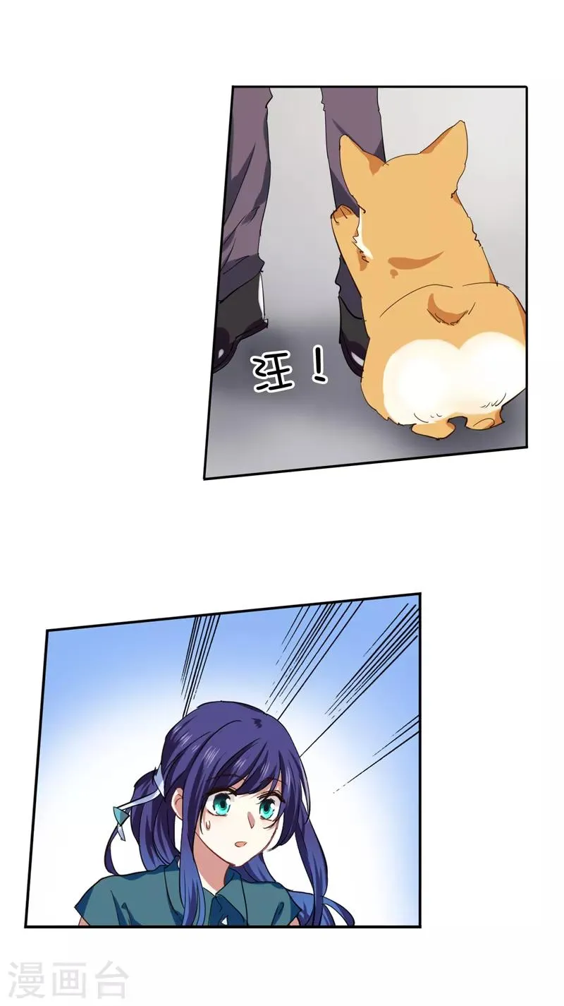 第198话 第11页